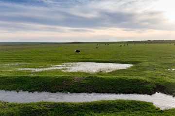Naklejka premium Lake in a meadow with green grass
