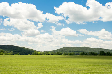 Green Grass Field