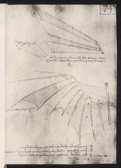 Leonardo Wings. Date: circa 1500 - obrazy, fototapety, plakaty