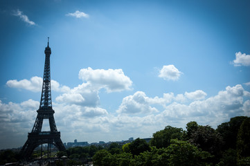 Fototapeta na wymiar Eiffel tower and landscape. Vignette.