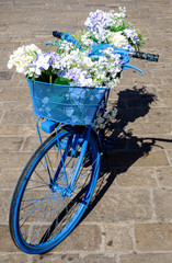 Fototapeta na wymiar old bike with flowers