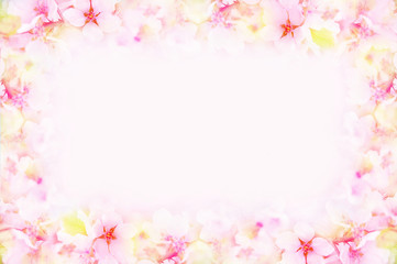 Spring blossom/springtime cherry bloom frame, toned, bokeh flower background, pastel and soft floral card