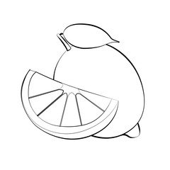 Fresh lemons vector illustration