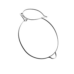 Fresh lemon silhouette. vector illustration