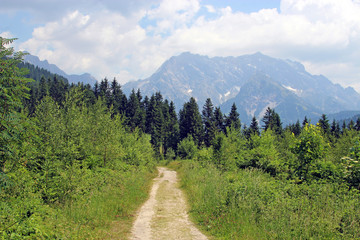 hiking path in the Austrian mountains
