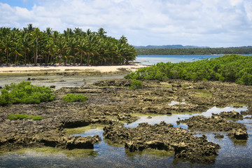 Rocky beach and island view
