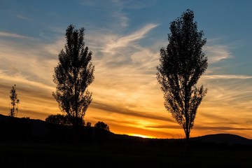 Fototapeta na wymiar Beautiful sunset landscape with trees