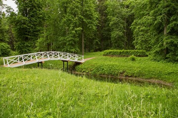 Summer landscape, bridge, pond, Park