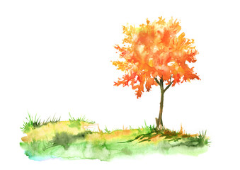 Watercolor Autumn landscape. Red, orange tree on a bright green grass. On a white background. A Autumn tree on the shore of a lake, a pond, a stream.
