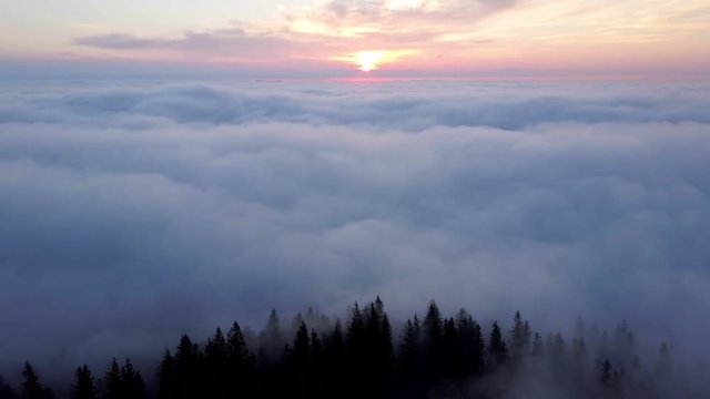 Aerial view flying backward over the forest covered in morning mist and clouds