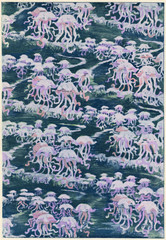 Marine Life - Jellyfish - Pink design. Date: circa 1900