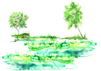 Watercolor summer landscape. Green tree on a bright grass. On a white background. A summer tree on the shore of a lake, a pond, a stream.