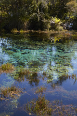 Extrem klares Wasser 