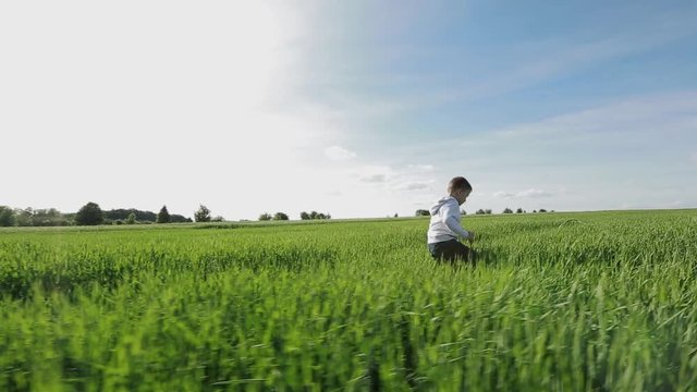 Boy Walking Through The Field