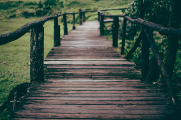 Fototapeta premium The walkway is a wooden bridge.Wood bridge