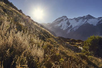 Herbst in Neuseeland