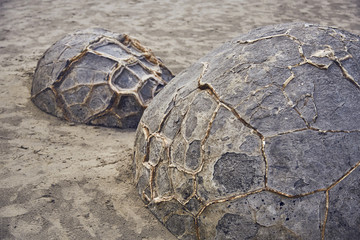 Moeraki Boulders