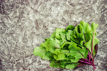 the leaves of the beet. mangold. selective focus. 