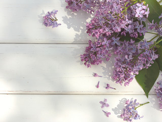Lilac branches on a white wooden table outside. View from above.

