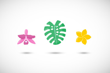 Tropical plants vector flat icons set