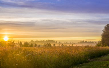 Obraz premium Fields at sunset or sunrise with dramatic blue sky and golden sun color near Tallinn, Estonia