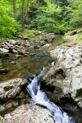 Naklejka na ściany i meble Mountain river waterfall in green forest