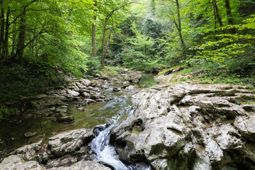 Mountain river waterfall in green forest