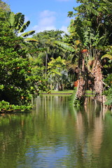 jardin ile maurice