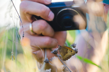 Photographer's hands taking photo of a butterfly with the small photo camera