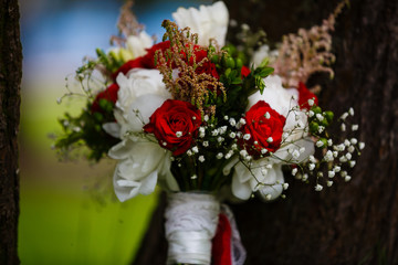 Beautiful bouquet of roses standing near a tree on the green grass