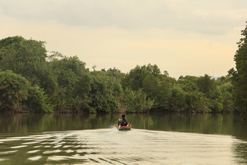 Long tail boat heading in mangrove forest in evening