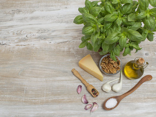 Ingredients for the preparation of Italian pesto sauce. 