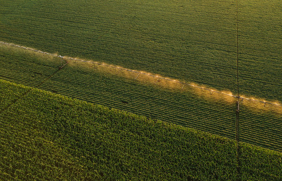 Aerial view of irrigation equipment watering green soybean crops field