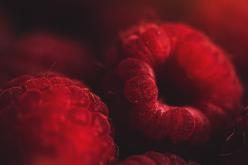 Ripe raspberry fruit, macro shot © Bits and Splits