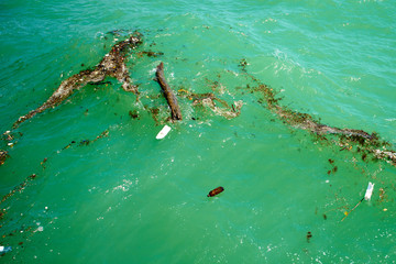 Obraz premium dirty sea with trash. Plastic pollution in ocean