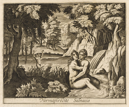 Salmacis - Hermaphrodite