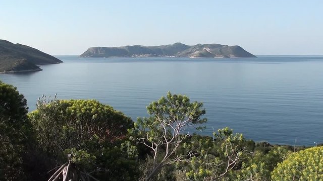 Sea view and spurge bushes