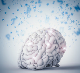 human brain learning