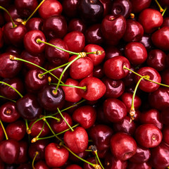 Cherries background. Sweet red cherries