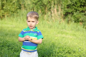 little boy on grass background