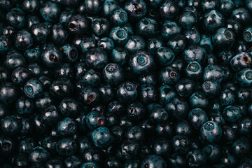 Blueberries collected manually. Natural background. Toned