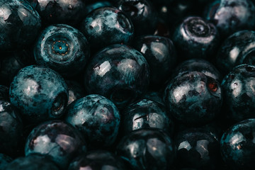 Blueberries collected manually. Natural background. Shallow depth of field. Selective focus. Toned