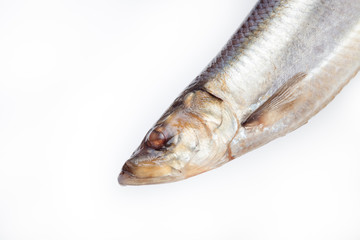 Herring fish on a white background