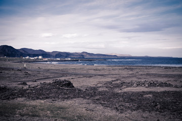 Grass on the stony coast of the fjord in the east of Iceland. Toned