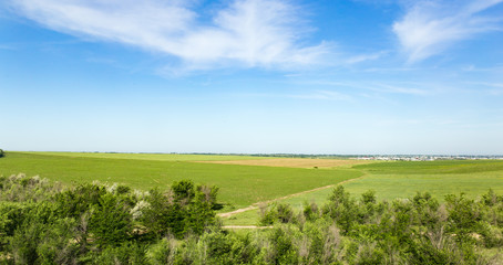 Nature in the steppe of Kazakhstan in the spring
