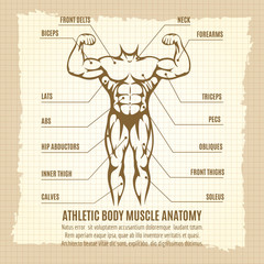 Vintage poster with male athletic body infographics. Vector illustration