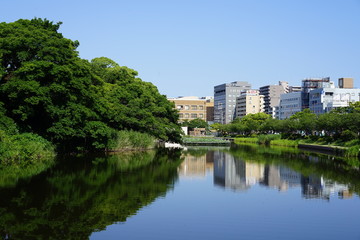 Fototapeta na wymiar 福岡城跡舞鶴公園お堀の景色