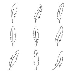 Bird feather line art collection