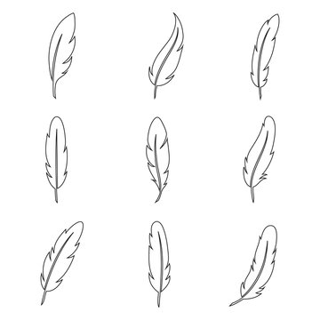 Bird feather line art collection