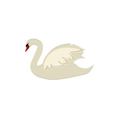 Obraz premium White swan vector